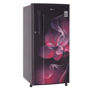 LG 188 L Direct Cool Single Door 3 Star Refrigerator  (Purple Dazzle, GL-B191KPDX) - Image 4