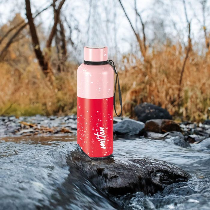Milton Ancy 750 Thermosteel Water Bottle (Red)